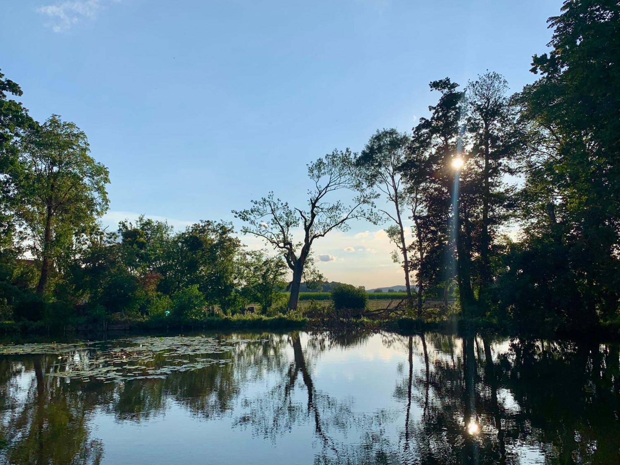 Wohnen Im Wasserschloss Sandizell Schrobenhausen Dış mekan fotoğraf